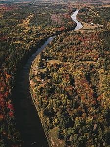 Amazon River thumbnail