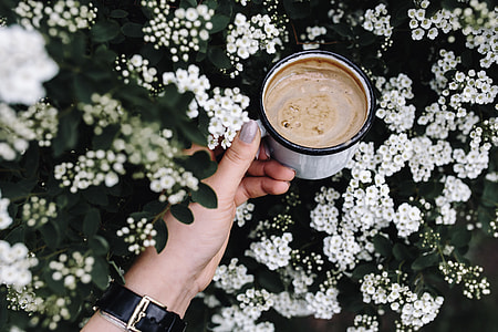 Morning coffee outdoors in the garden thumbnail