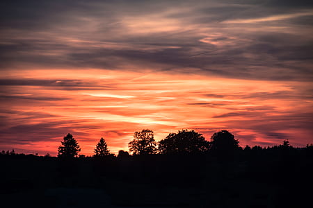 nature, sky, clouds, forest thumbnail
