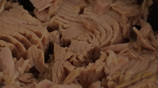 fish meats thumbnail