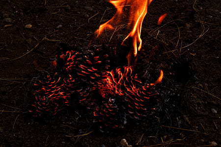 burning grass thumbnail