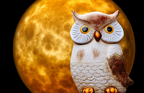 brown and gray owl figurine thumbnail