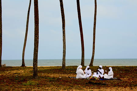 four women having picnic near beach thumbnail