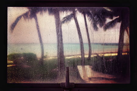 window with water running showing palm tree on beach thumbnail