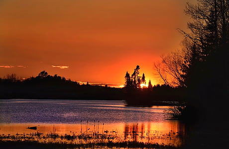 silhouette photography of trees and body of water thumbnail