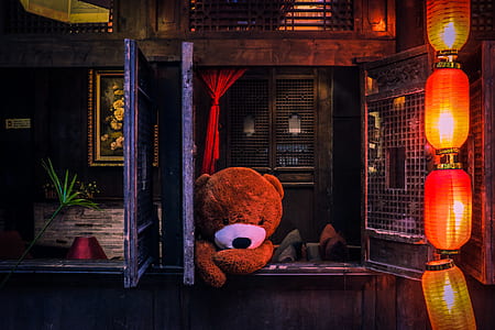 photo of life-sized brown bear at window thumbnail