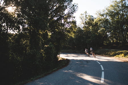 Bikes Take The Turn Photo thumbnail