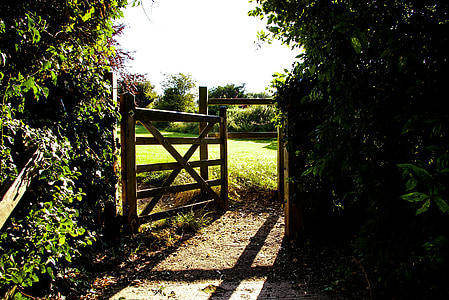 photo of brown wooden gate panel beside green leafed plants thumbnail
