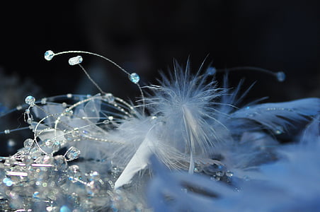 white feather on crystals thumbnail
