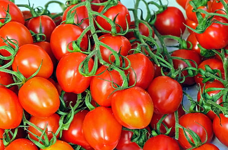 photo of bunch of red tomatoes thumbnail