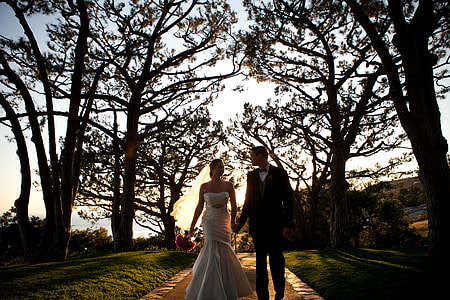 silhouette photo of couple walking on concrete pathway in between tall trees at daytime thumbnail