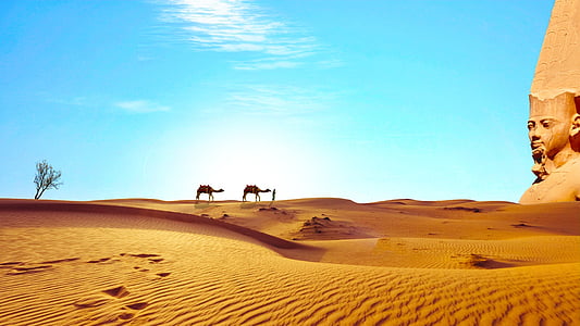 two camels in desert and a brown structure thumbnail
