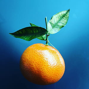 orange fruit thumbnail