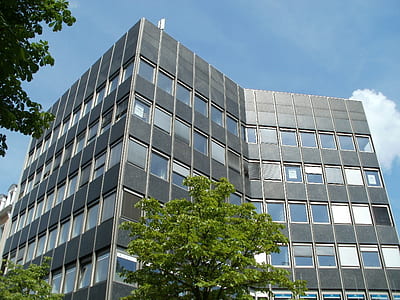 green leafed tree near building during daytime thumbnail
