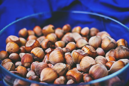 close-up photo of brown chestnut lot in blue container thumbnail