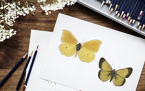 two yellow butterfly painting beside pencils thumbnail