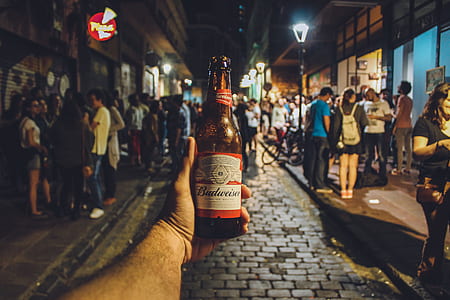 Person Holding Budweiser Bottle thumbnail