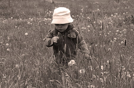 grayscale photo of toddler on flower field thumbnail
