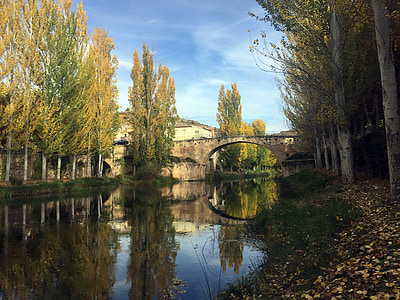 concrete arch bridge near trees during daytime thumbnail