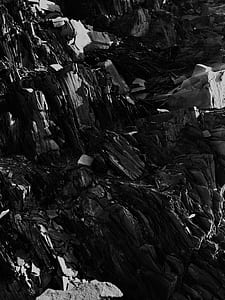 black and white, monochrome, rock, wood thumbnail