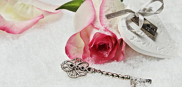 pink rose and silver key in snow thumbnail