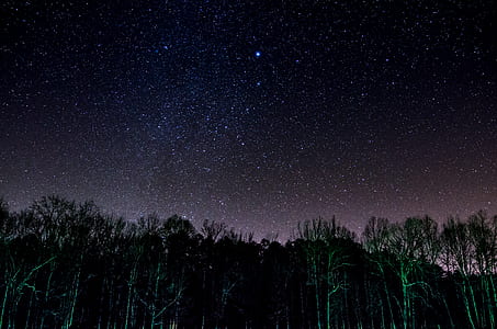 green leaves tree and milky way galaxy during night time thumbnail
