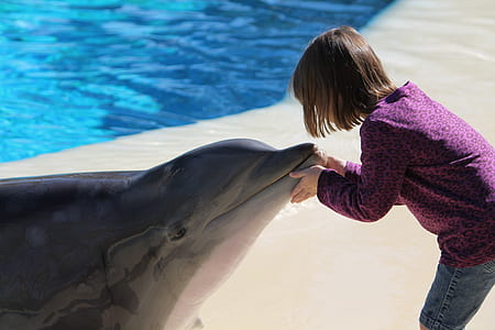photo of girl holding mouth dolphin thumbnail