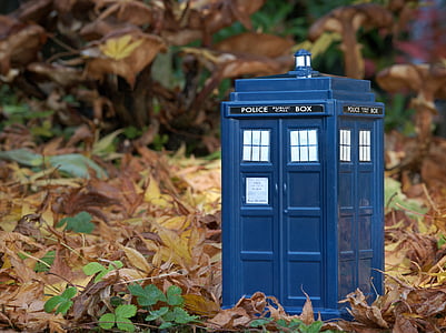 blue Police box thumbnail