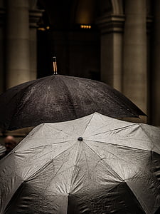 two gray and black umbrellas thumbnail