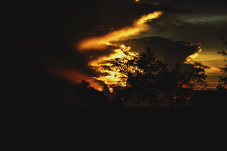 silhouette of trees under cloudy sky during golden hour thumbnail