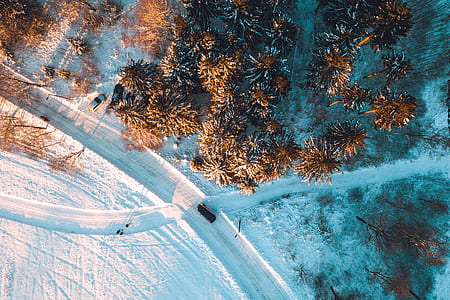 aerial view of black vehicle on road with snow near brown trees thumbnail