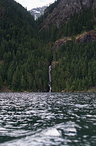 landscape, nature, water, forest thumbnail