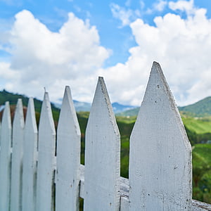 macro shot of white wooden fence thumbnail