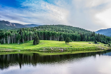 green leafed tree lot near body of water thumbnail