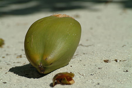 coconut on gray sand thumbnail