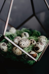 Quail eggs thumbnail