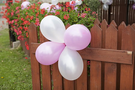 white and pink balloons decor thumbnail