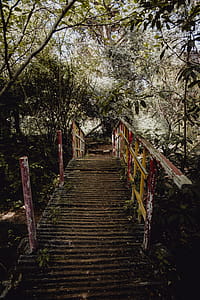 Tropical Botanical Garden in Belem, Lisbon, Portugal thumbnail