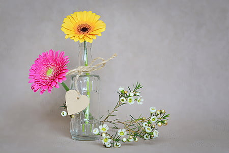 yellow and pink flowers thumbnail