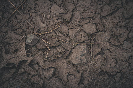 brown soil thumbnail