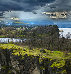 green trees under cloudy sky during daytime thumbnail