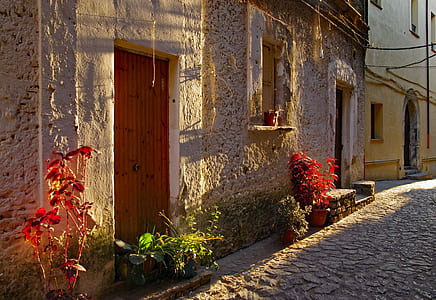 brown concrete house thumbnail