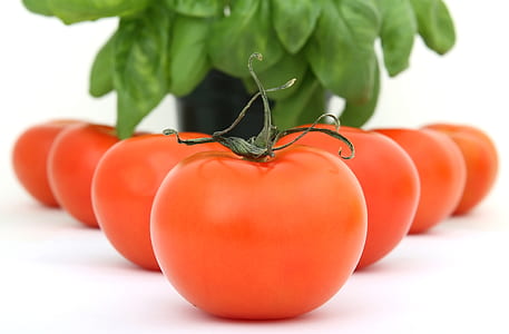 red tomatoes near green leafed plant thumbnail