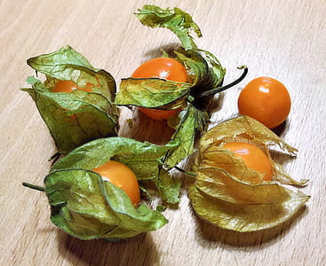 ripe tomatoes thumbnail