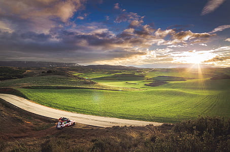 landscape photography of green field thumbnail