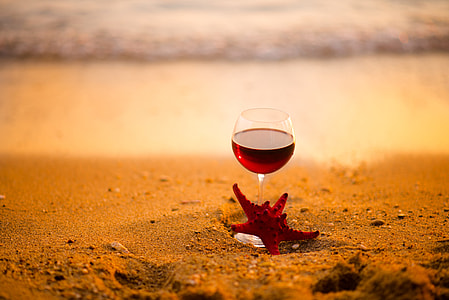 wine glass with wine standing starfish photography on sand thumbnail