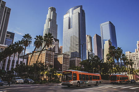 orange and gray bus near high-rise building thumbnail