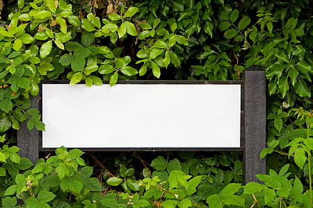 white wooden signage surrounded by green leafed plants thumbnail