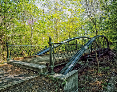 gray bridge on dried river in the middle of the forest at daytime thumbnail