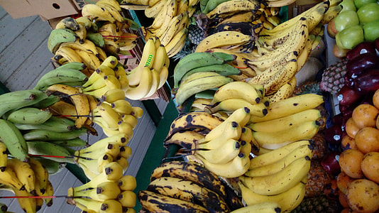 Bananas thumbnail